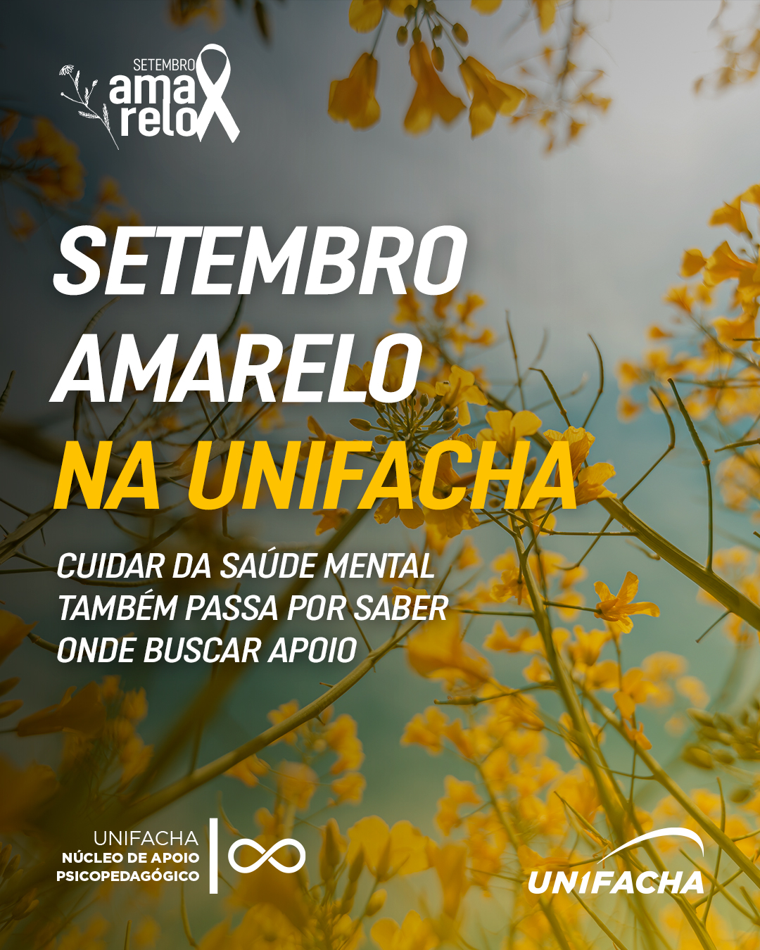 Setembro Amarelo na UNIFACHA